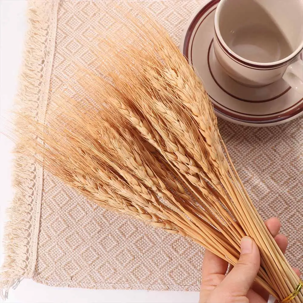 50 adet Yapay Çiçek Doğal Kuru - Dried Flower Bulk incelemesi ve fiyatı